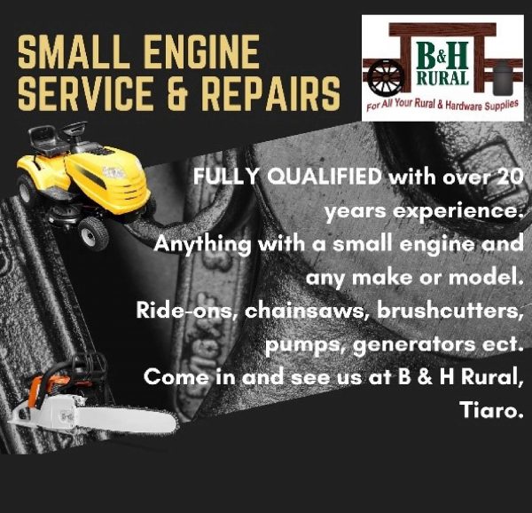 Small Engine Service & Repairs